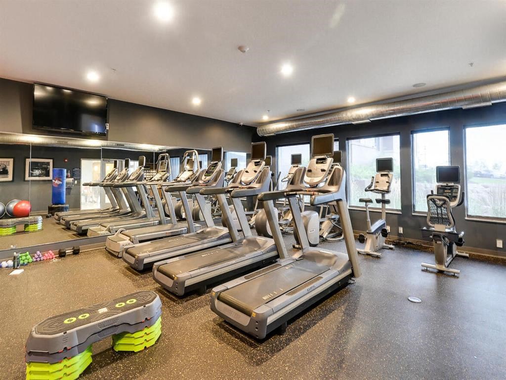 a gym with cardio equipment on the floor and windows at Bluestone Lofts, Minnesota