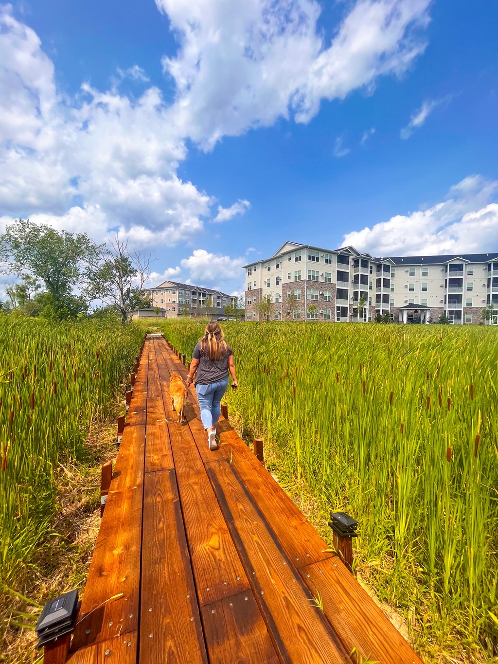 a woman walking her dog on a wooden boardwalk in a field  at Timber Ridge, Forest Lake, 55025