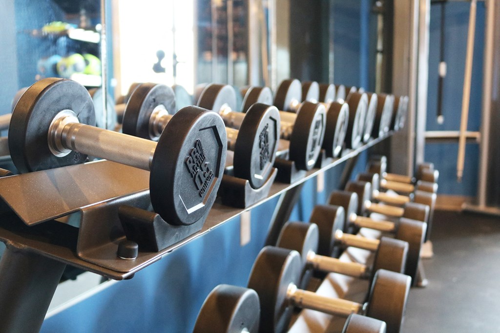a row of dumbbells in a gym  at Timber Ridge, Minnesota