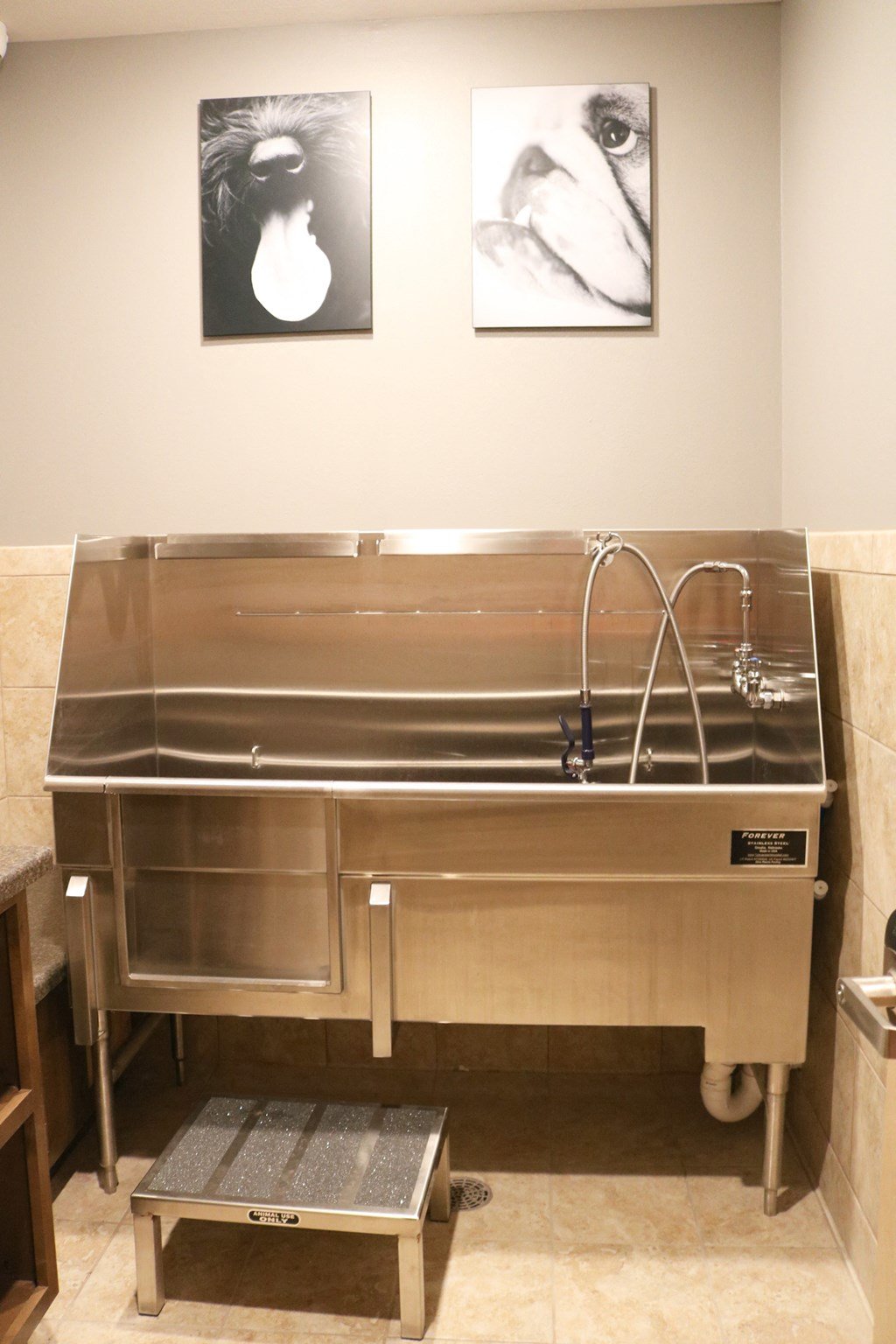 a stainless steel tub in a pet spa  at Timber Ridge, Forest Lake, MN, 55025