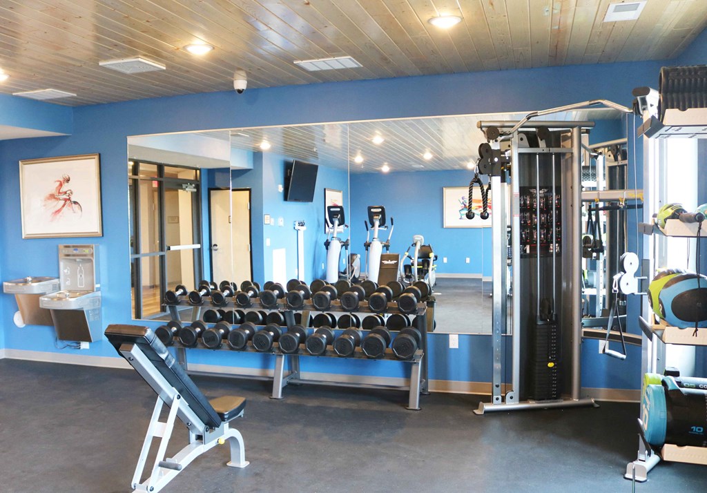 a fitness room with a rack of dumbbells and other gym equipment  at Timber Ridge, Forest Lake
