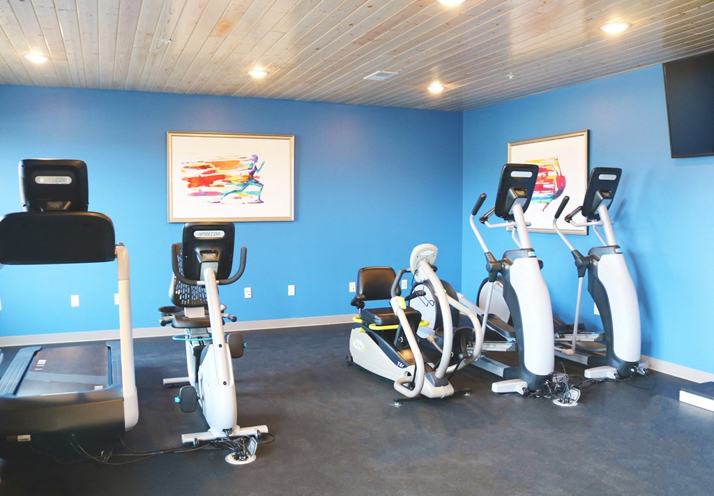 a gym with cardio equipment and a painting on the wall  at Timber Ridge, Minnesota, 55025