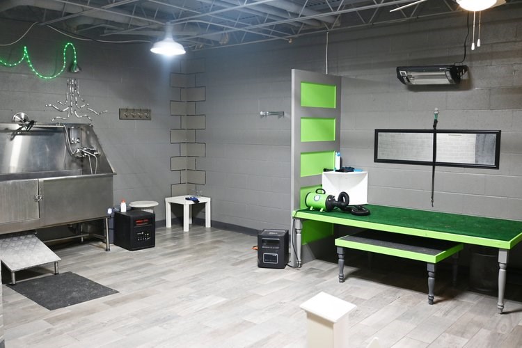 A room with a green bench and a grey wall.