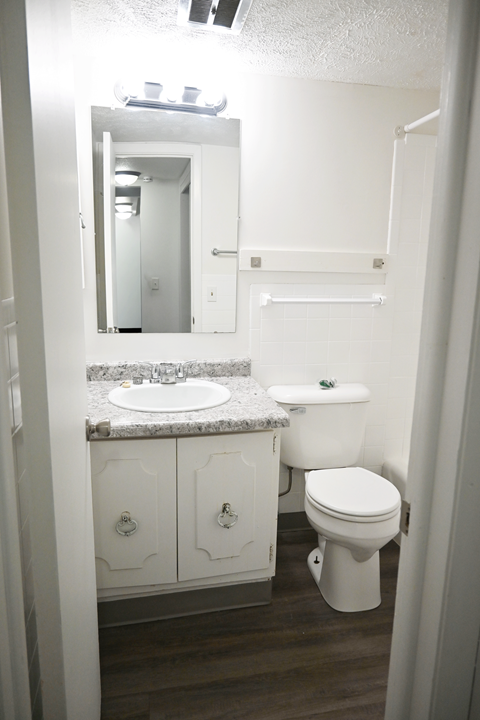 A white toilet sits next to a sink in a small bathroom.