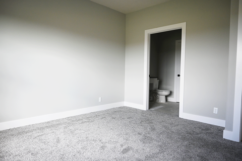 A room with a carpeted floor and a toilet in the doorway.