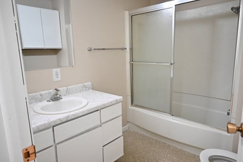 A bathroom with a sink, toilet, and shower.