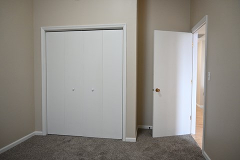 A white closet with a door is in the room.