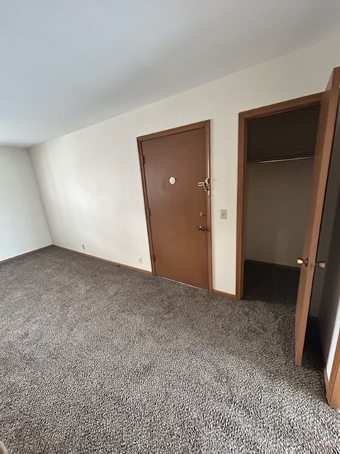 A room with a brown door and carpeted floor.