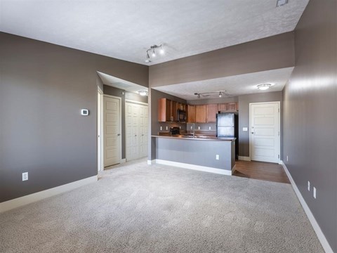 A spacious living room with a grey carpet and a kitchen area in the background.