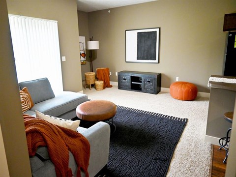 A living room with a grey couch and a black rug.