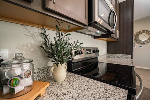 A kitchen with a plant on the counter.