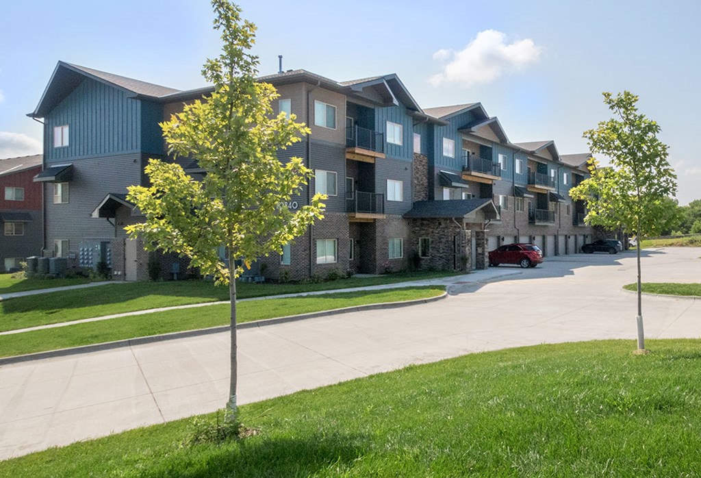 A row of modern houses with a tree in front of them.