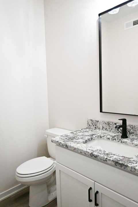 A white toilet sits next to a marble sink in a bathroom.