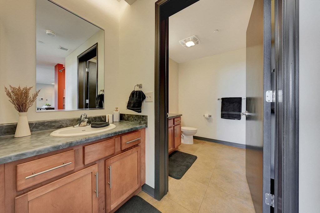 a bathroom with a sink and a mirror and a toilet at Parkhaus Apartments, Lincoln, Nebraska