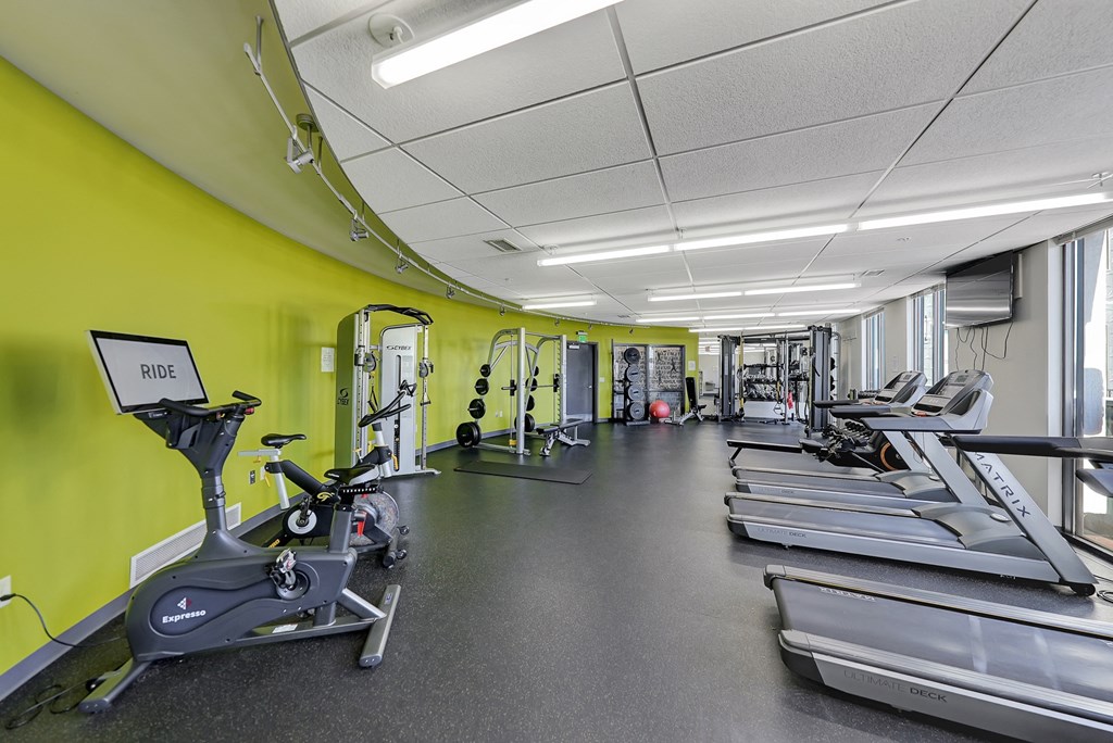 a gym with cardio equipment and weights on the floor and green walls at Parkhaus Apartments, Lincoln