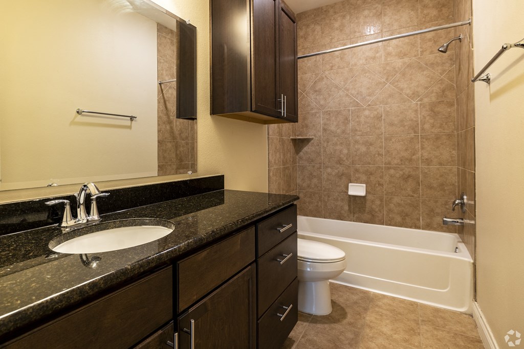 a bathroom with a sink and a toilet and a bath tub