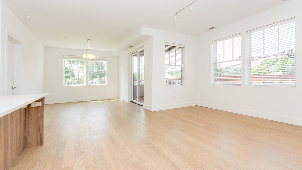 a view of a hallway with wood floors and walls and windows