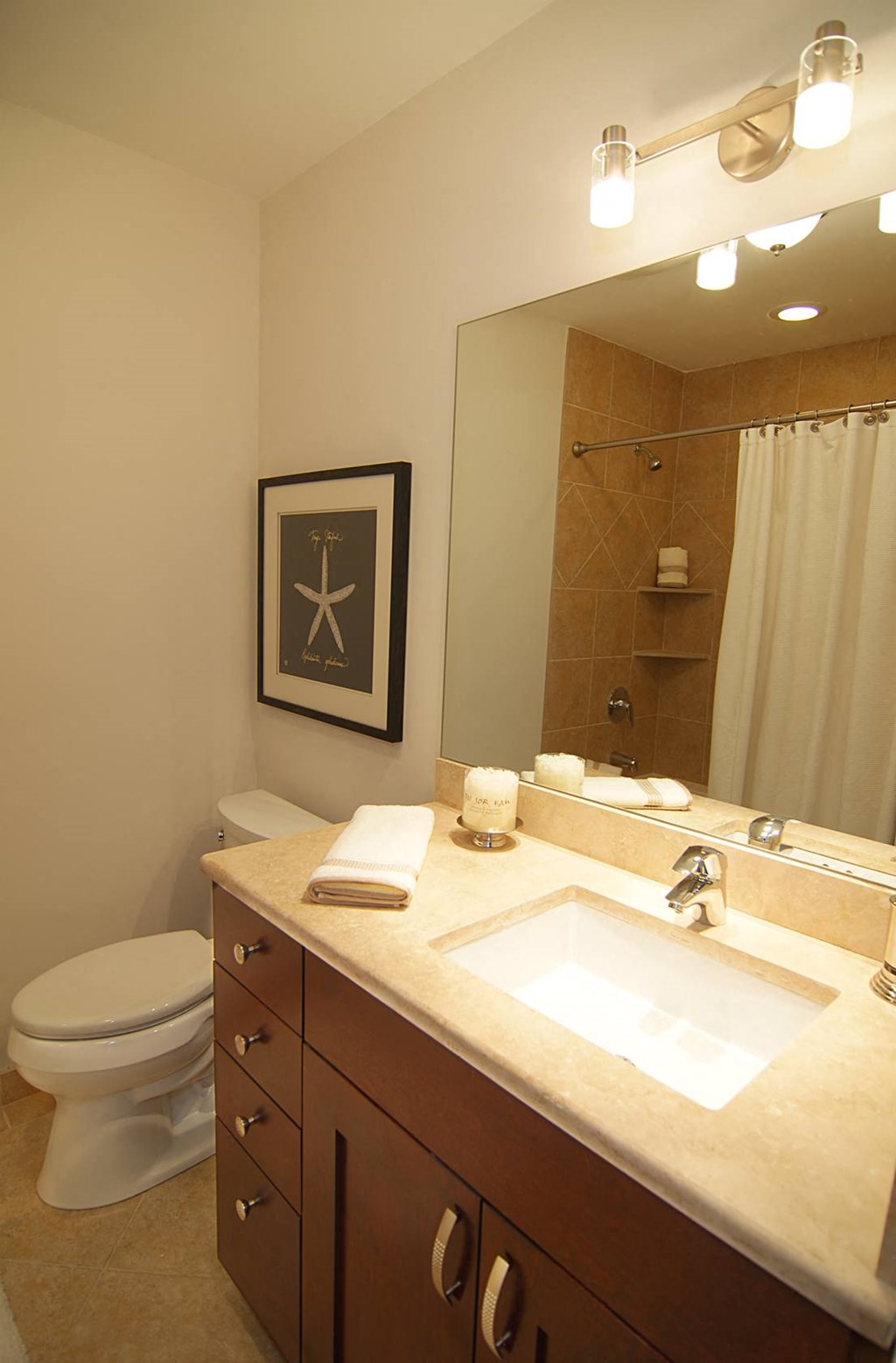 a bathroom with a sink and a toilet and a mirror