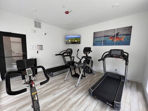 a gym with various exercise equipment on the floor and a tv on the wall at Highwood 546, Highwood, IL
