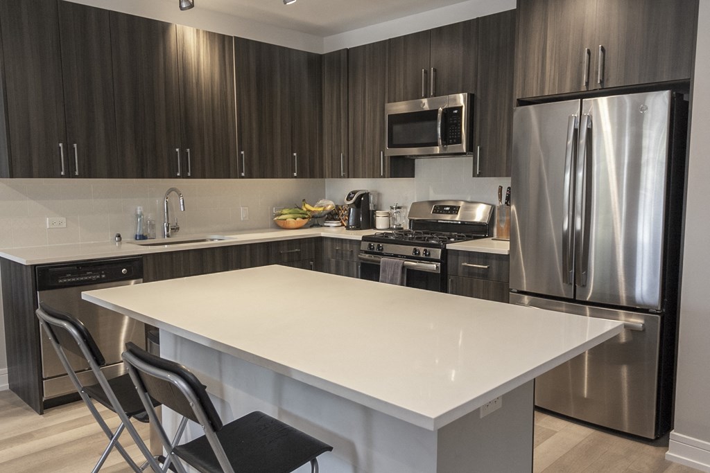 a kitchen with stainless steel appliances and a white counter top at Talman 1554, Illinois, 60622