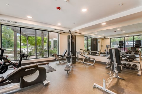 a gym with exercise equipment and large windows at Clarendon Hills 229, Illinois, 60514