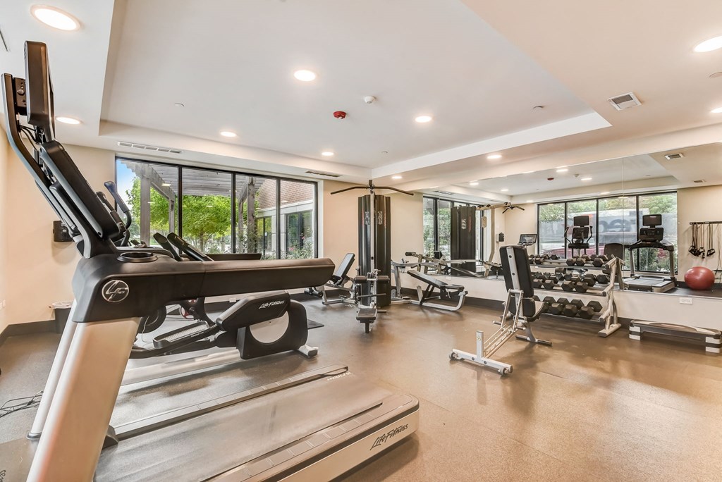 a gym with a lot of equipment and windows at Clarendon Hills 229, Clarendon, IL 60514