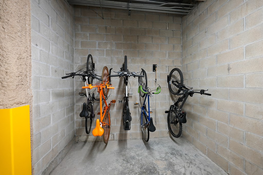 a group of bikes hanging on a wall in a storage room