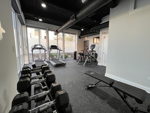 a gym with free weights and machines 