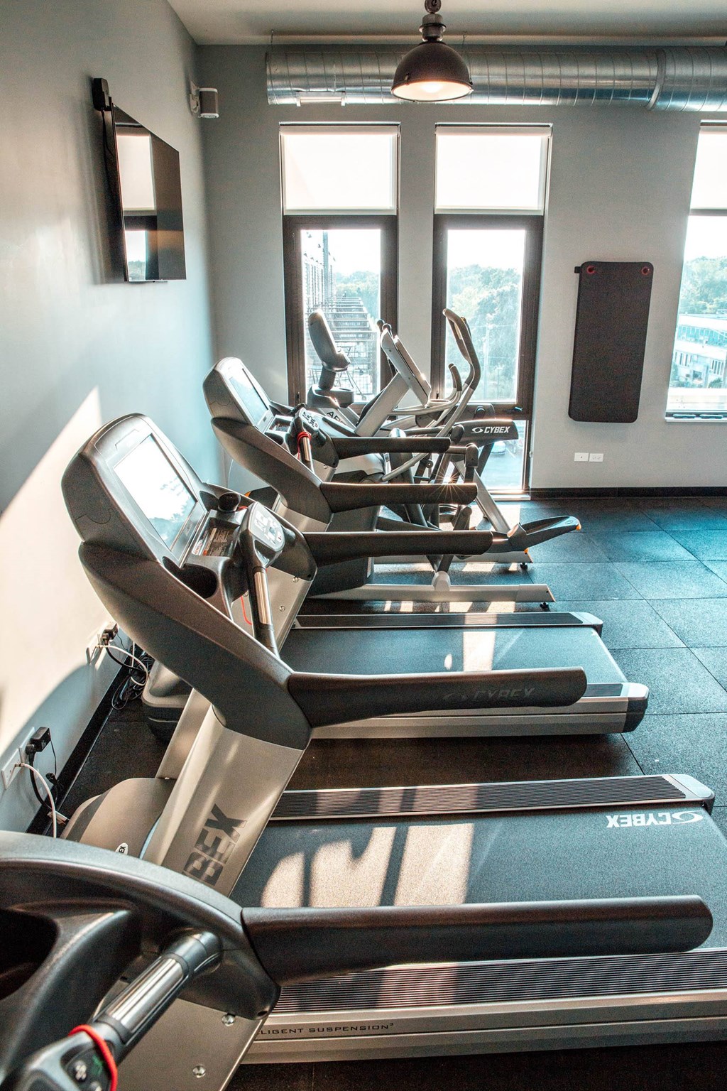 a row of cardio machines in a gym at Barrington 101, Barrington, 60010
