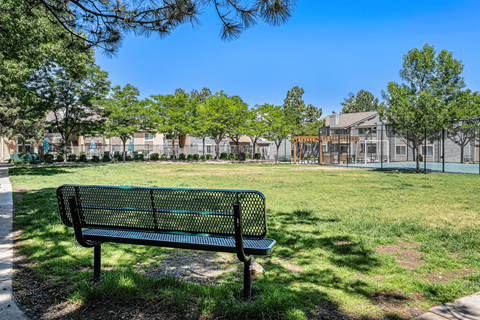 A park bench is situated in the foreground of a grassy area with trees and a building in the background.