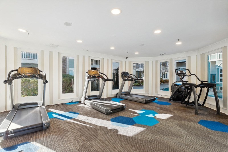 Fitness room featuring multiple treadmills and elliptical machines, with bright natural light from surrounding windows.