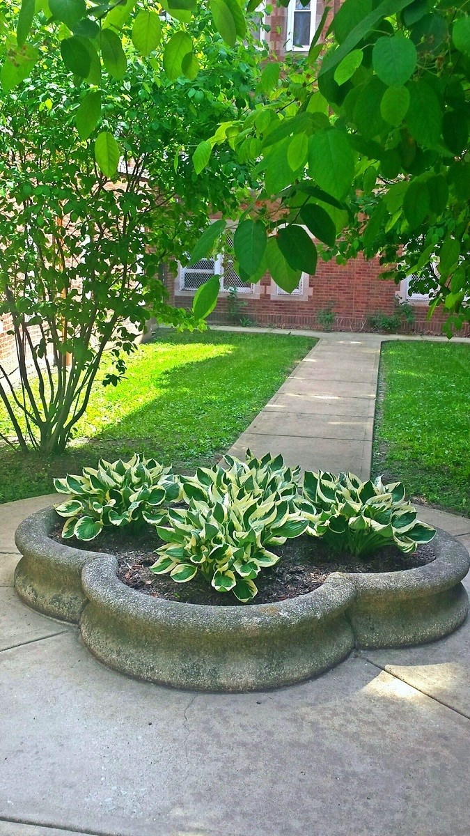 Lovely courtyard with well maintained landscaping
