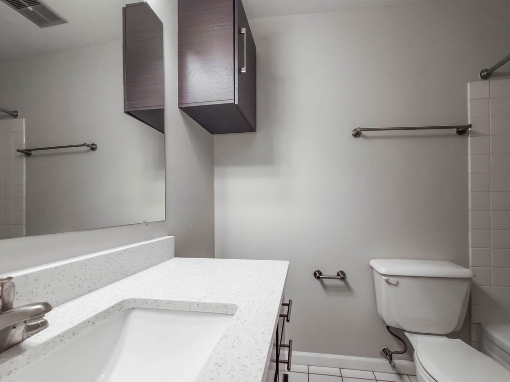 Updated Bathroom Finishes