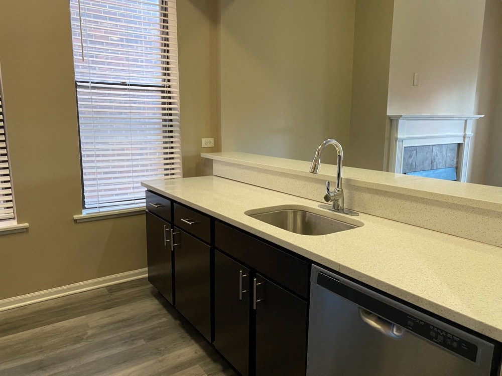 Dishwasher and Goose-Neck Faucets