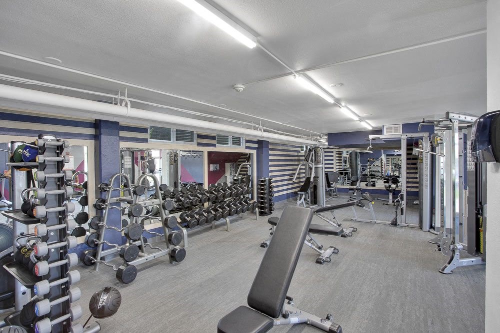 State of the art fitness center