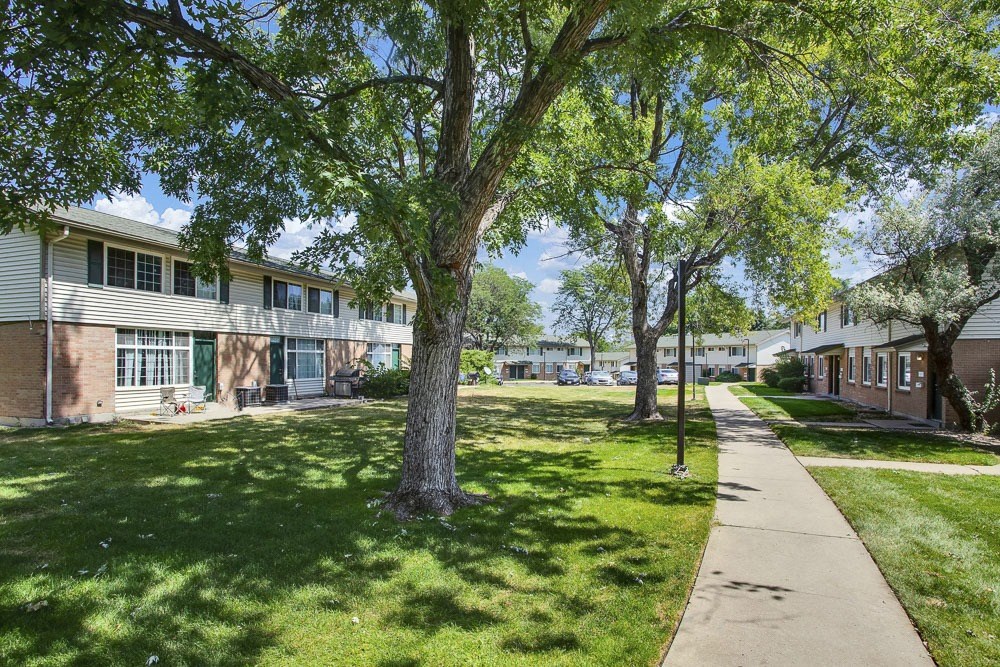 Tree lined sidewalks