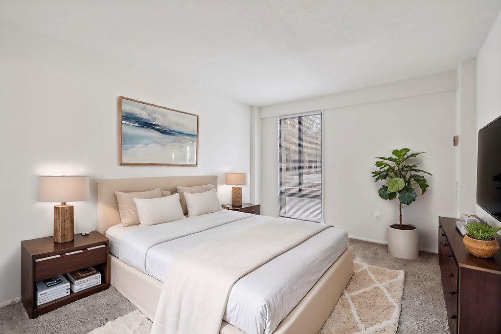 A bedroom with a large bed, a nightstand with a lamp, a painting on the wall, a window with blinds, a potted plant, and a TV on a stand.