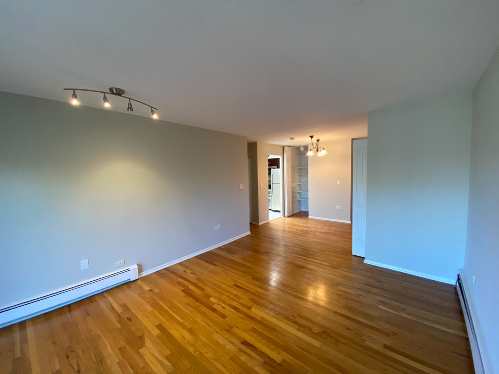 Designer Lighting Packages