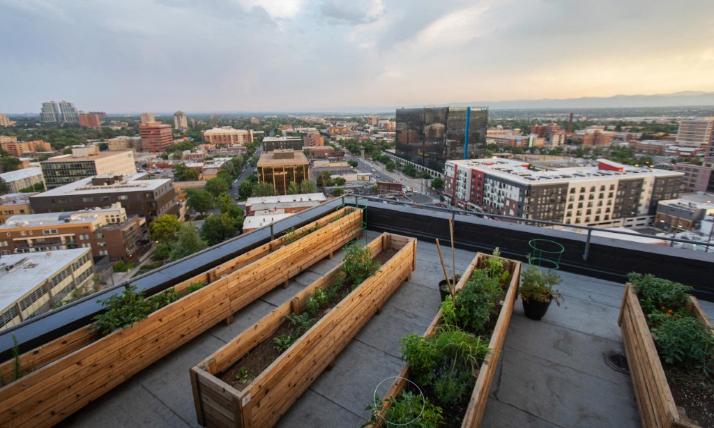 Beautiful roof gardens
