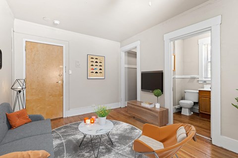 A living room with a grey couch, a coffee table, and a television 1170 N Logan St in Denver, CO