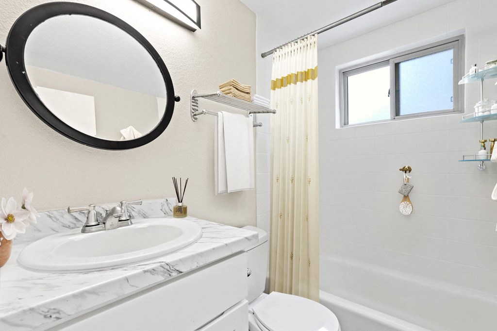 a bathroom with a sink and a mirror and a shower