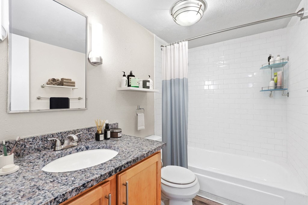 a bathroom with a sink and a toilet and a shower