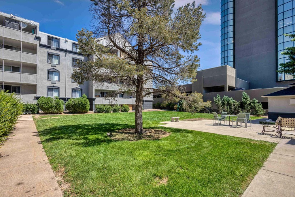 a park with a tree and lawn in front of a building