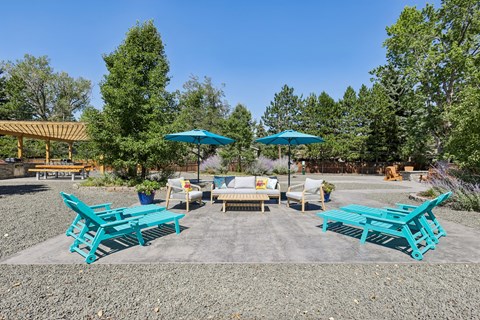 A sunny day at a picnic area with blue benches and umbrellas.
