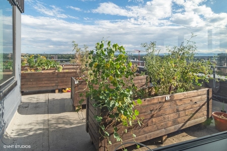 the view of the city from the roof of a building