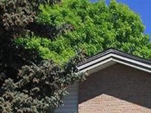 Vesty Park Apartments, 3190 West 14th Ave, Denver, CO - RENTCafé