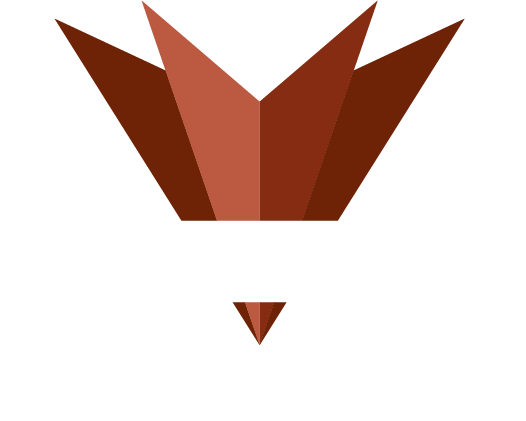 The image features a graphic of an arrowhead with the text "Canon de Arrowhead" below it.