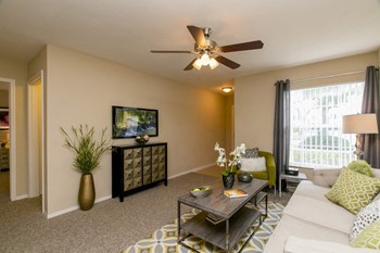 Living room with lots of natural lighting Living room with lots of natural lighting - Photo Gallery 5