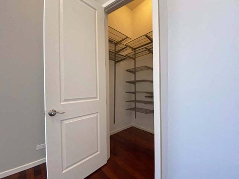 Large closets with built-in shelving