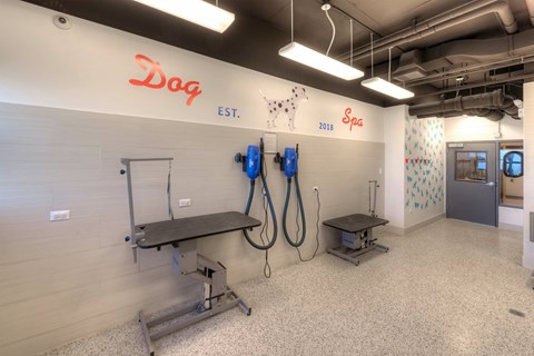 Dog spa with grooming tables and bathing stations at Eleven Thirty Apartments, Illinois, 60605